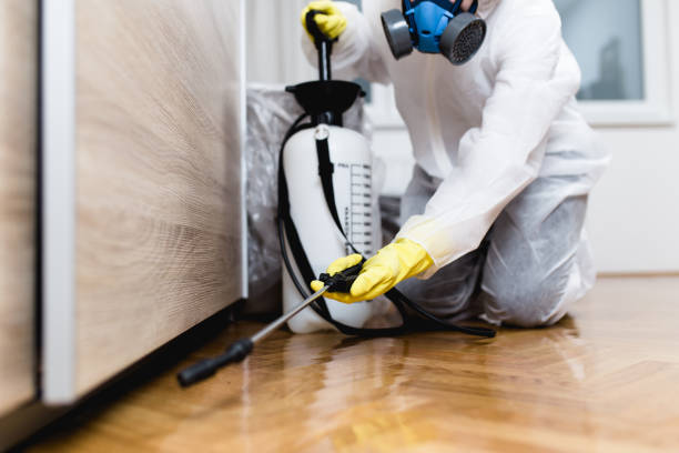 Best Termite Control Services  in Auburn, IN