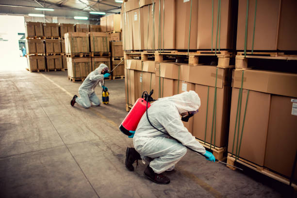 Best Best Pest Control Companies  in Auburn, IN