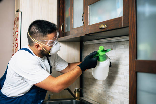 Best Mosquito Control Services  in Auburn, IN