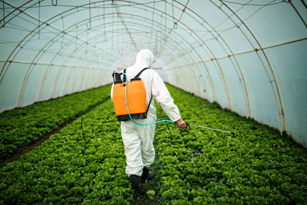 Pest Control for Restaurants in Auburn, IN