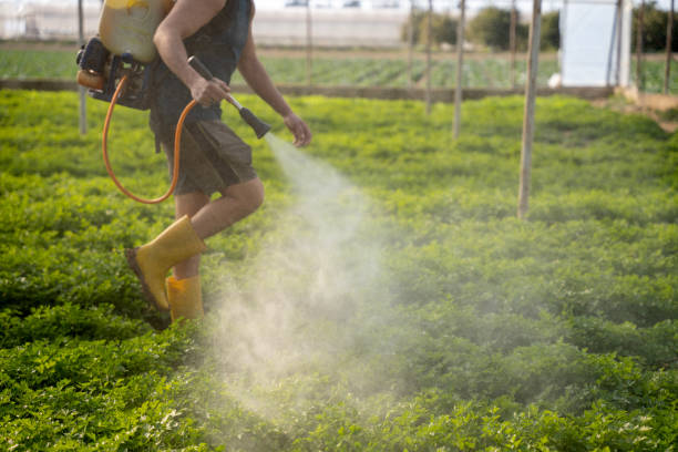Best Exterminator Services  in Auburn, IN