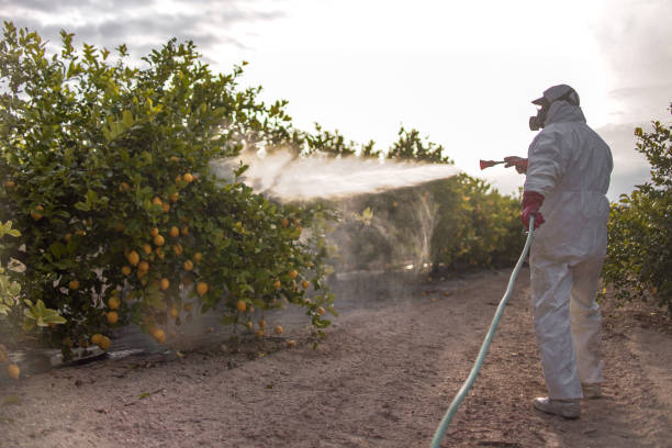  Auburn, IN Pest Control Pros