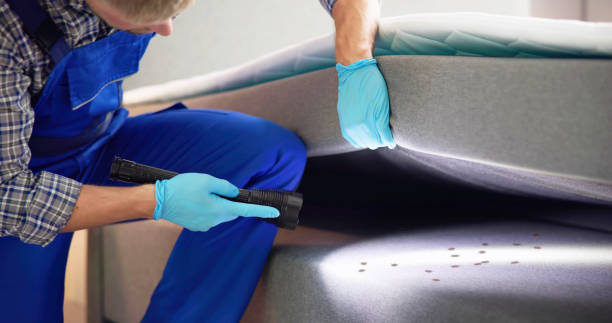 Best Cockroach Control Services  in Auburn, IN